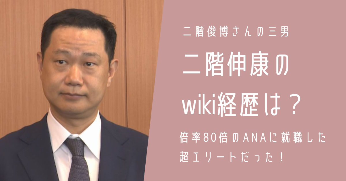 二階伸康 wiki経歴